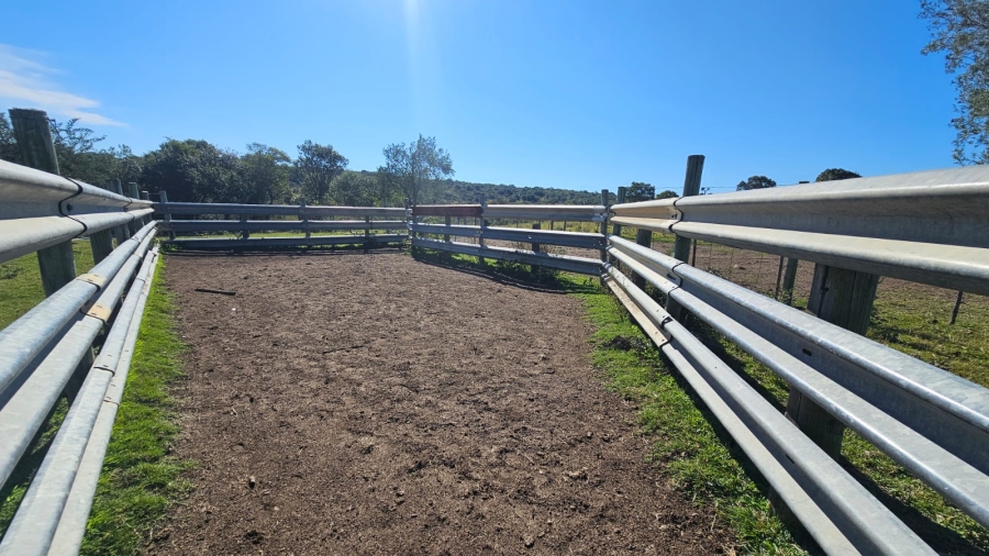 Commercial Property for Sale in Komga Rural Eastern Cape